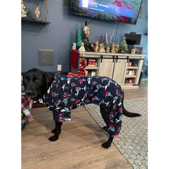 Target Dog Christmas Pajamas For Your Dog Featuring Hot Air